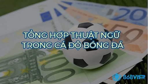 Cá độ online có thuật ngữ cá độ bóng đá rất phổ biến