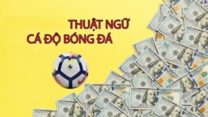 Thuật ngữ cá độ bóng đá không thể không biết cho người mới